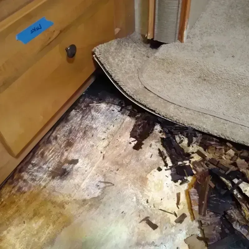 Wood Floor Water Damage in Osceola County, IA